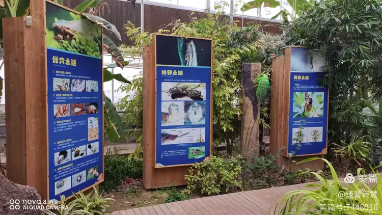 河北省故城县以岭康养庄园之中国金蝉文化馆